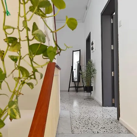 Cabană Cosy 6 *
